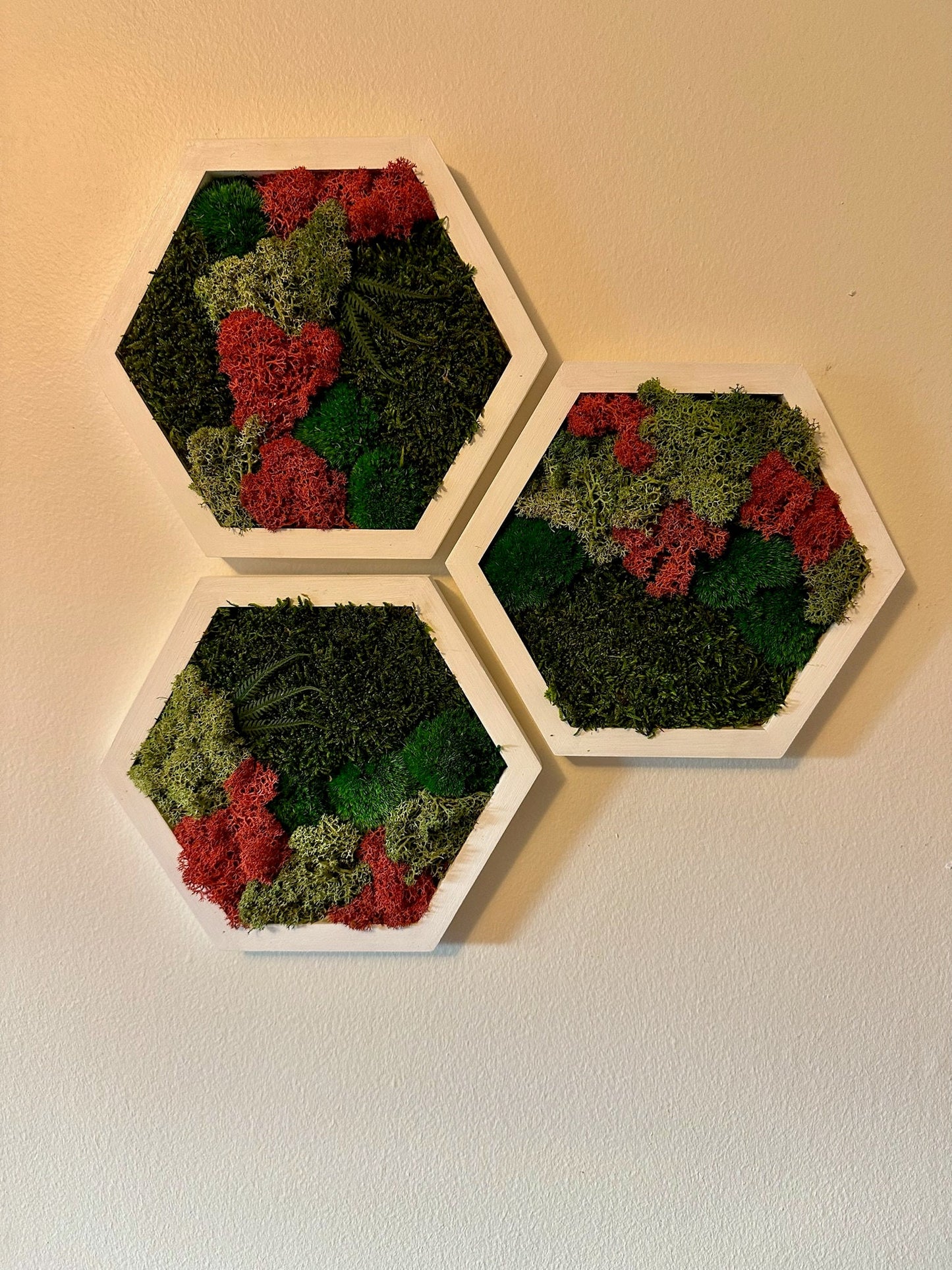 Moss Wall Art Decor | Handmade Wood Hexagon | Single Set to Six (8”x 9" each) | Preserved Lichen Moss, Pole Moss, Sheet Moss & Fern