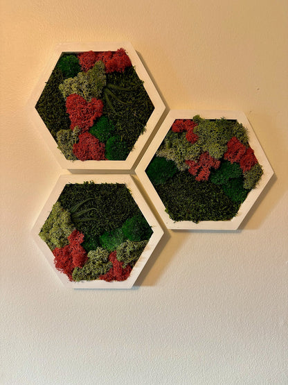 Moss Wall Art Decor | Handmade Wood Hexagon | Single Set to Six (8”x 9" each) | Preserved Lichen Moss, Pole Moss, Sheet Moss & Fern