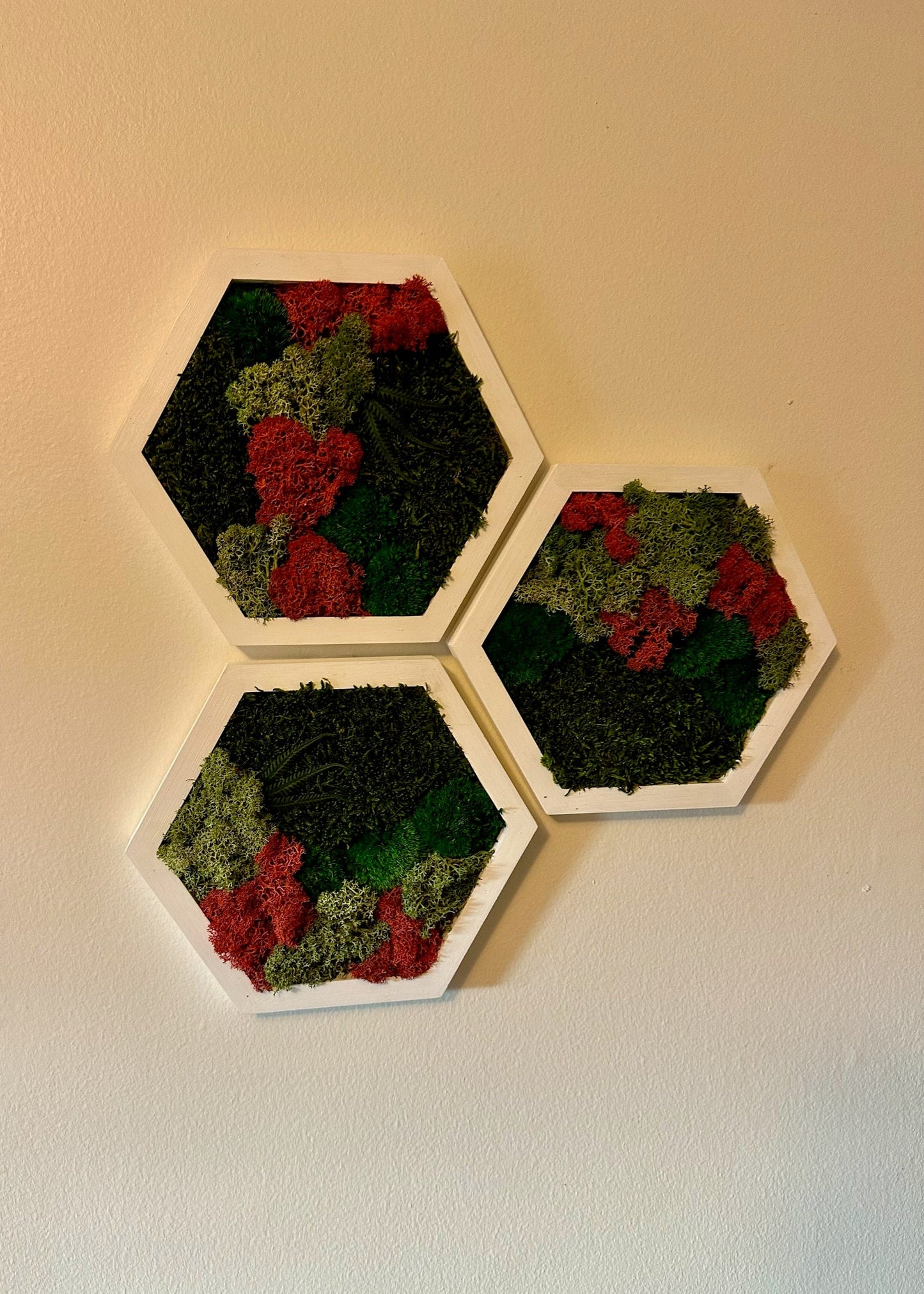 Moss Wall Art Decor | Handmade Wood Hexagon | Single Set to Six (8”x 9" each) | Preserved Lichen Moss, Pole Moss, Sheet Moss & Fern