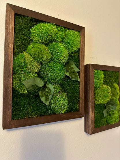 Moss Wall Art Rectangle Frame | Preserved Moss Art | Wood Frame | Moss Wall Decor | Single or Set of 2 | Pole & Sheet Moss | Christmas Gift