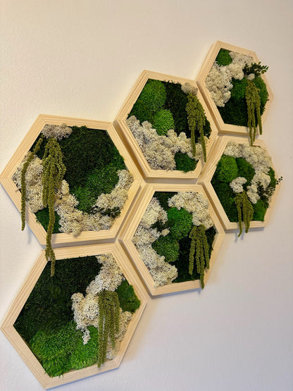 Moss Wall Art Decor | Handmade Wood Hexagon | Single Set to Six (8”x 9" each) | Preserved Lichen Moss, Pole Moss, Sheet Moss & Fern | Gift