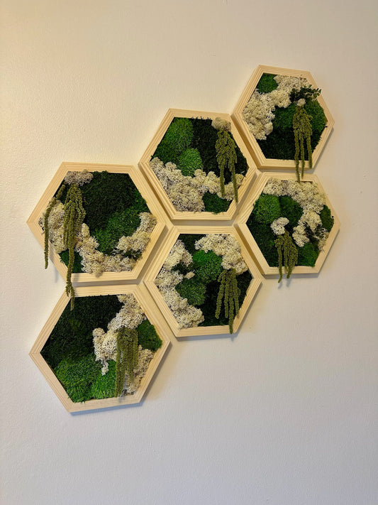 Moss Wall Art Decor | Handmade Wood Hexagon | Single Set to Six (8”x 9" each) | Preserved Lichen Moss, Pole Moss, Sheet Moss & Fern | Gift