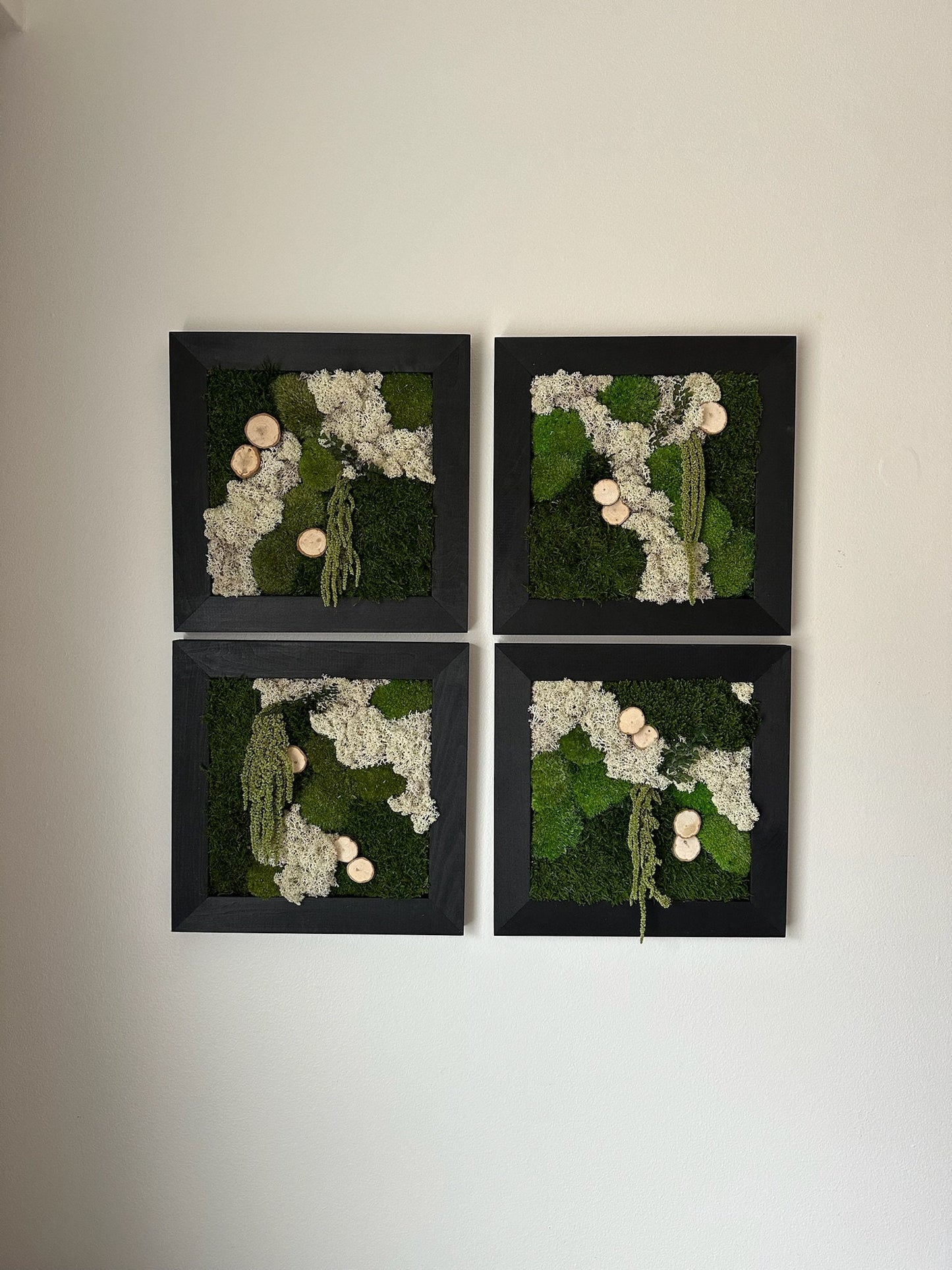 Moss Wall Art | Preserved Moss Art Framed | Square Frame | Green Moss Pole Moss Sheet Moss with Preserved Fern and Wood