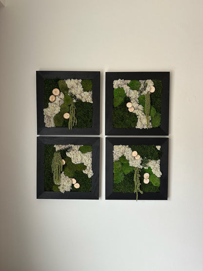 Moss Wall Art | Preserved Moss Art Framed | Square Frame | Green Moss Pole Moss Sheet Moss with Preserved Fern and Wood