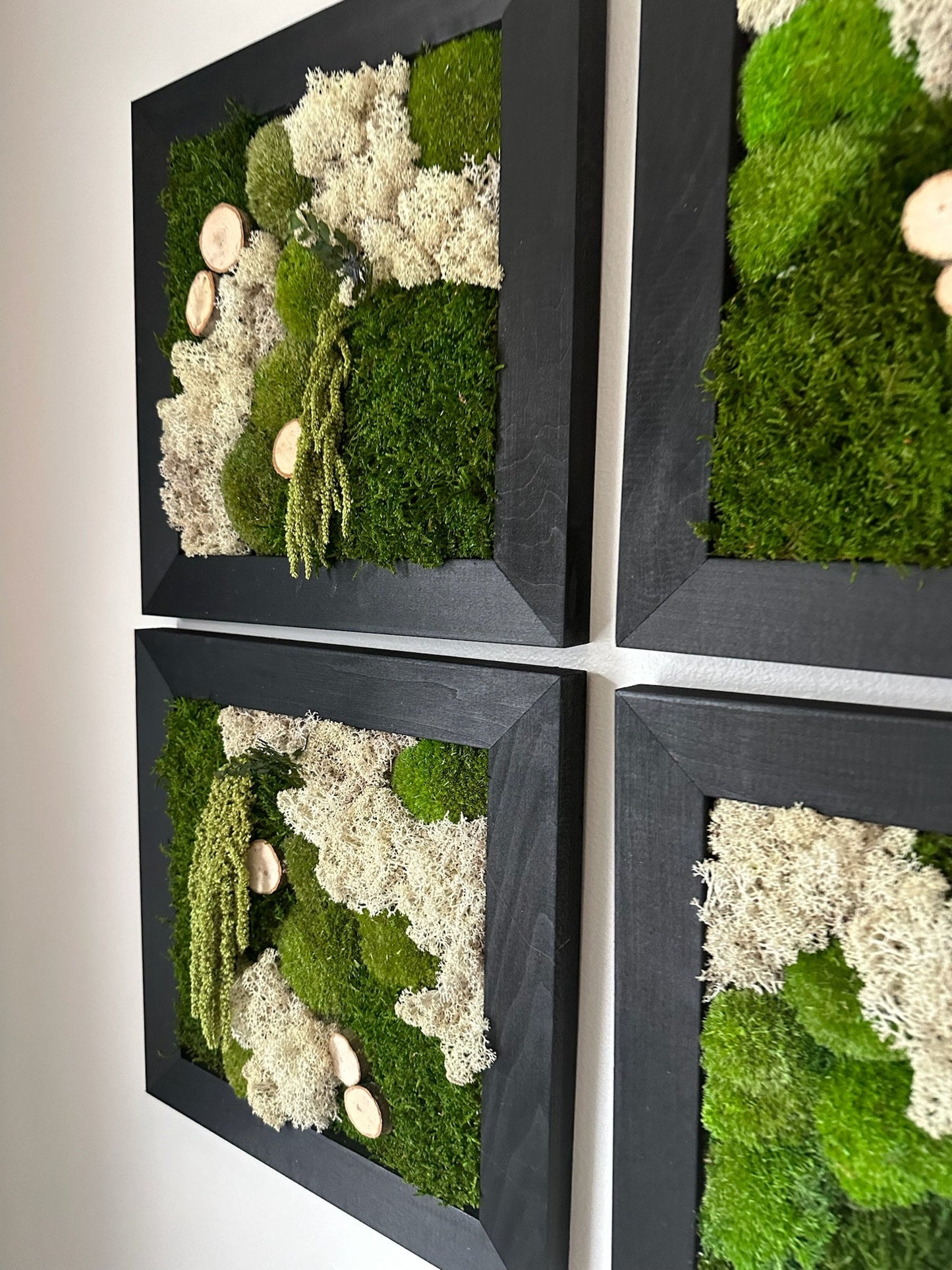 Moss Wall Art | Preserved Moss Art Framed | Square Frame | Green Moss Pole Moss Sheet Moss with Preserved Fern and Wood