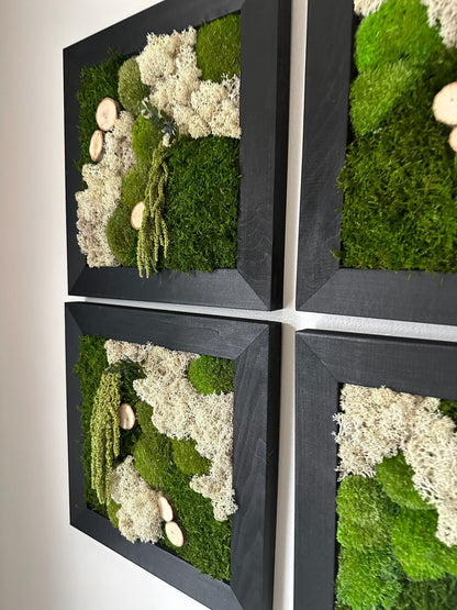 Moss Wall Art | Preserved Moss Art Framed | Square Frame | Green Moss Pole Moss Sheet Moss with Preserved Fern and Wood