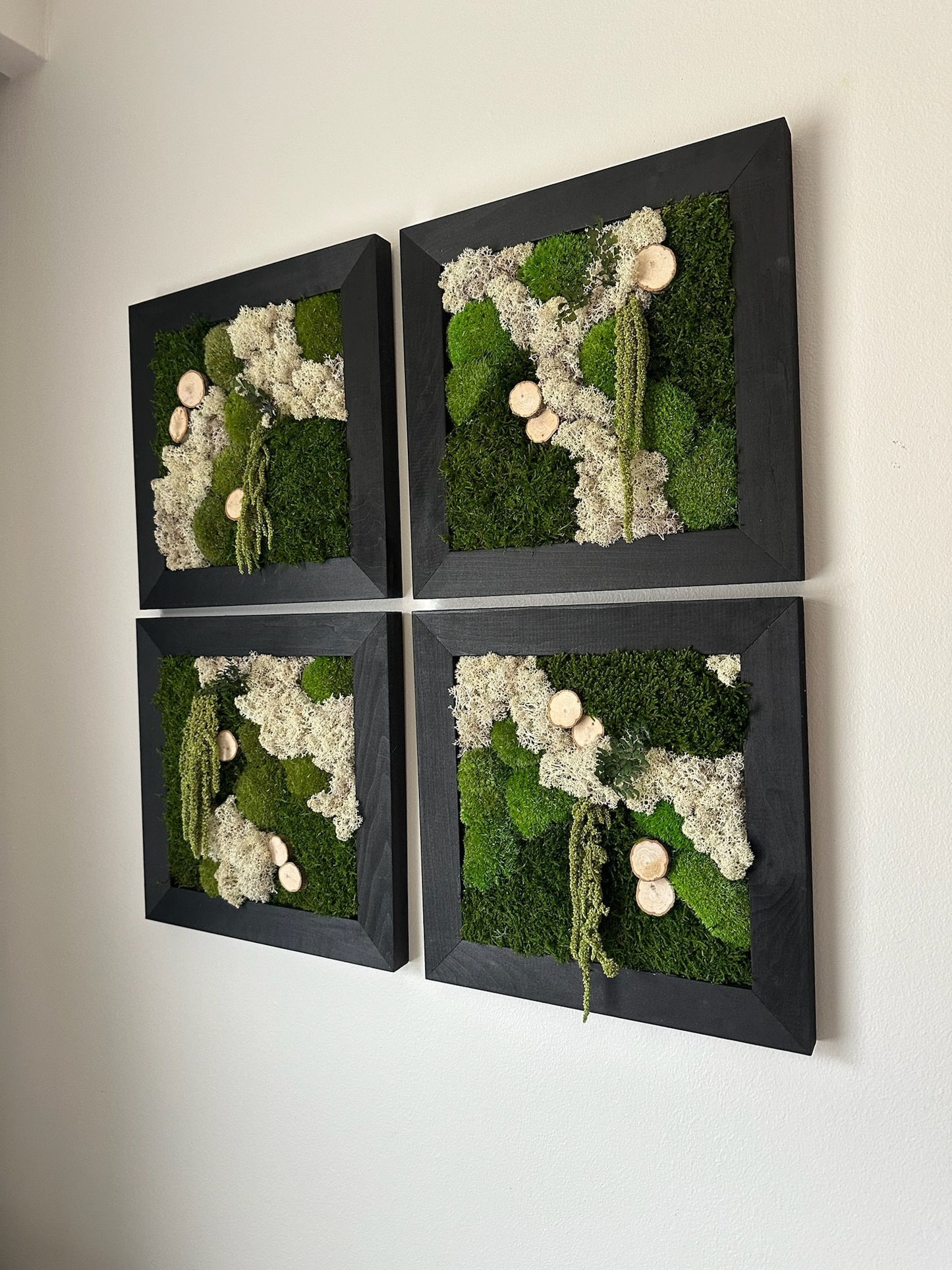 Moss Wall Art | Preserved Moss Art Framed | Square Frame | Green Moss Pole Moss Sheet Moss with Preserved Fern and Wood