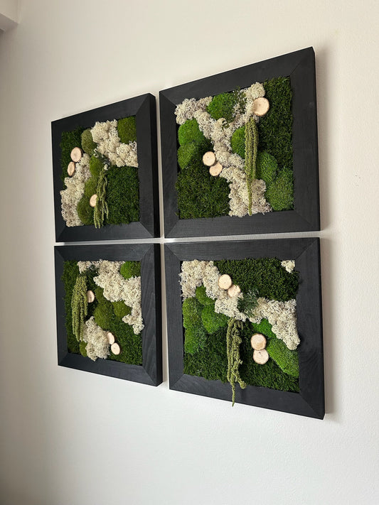 Moss Wall Art | Preserved Moss Art Framed | Square Frame | Green Moss Pole Moss Sheet Moss with Preserved Fern and Wood