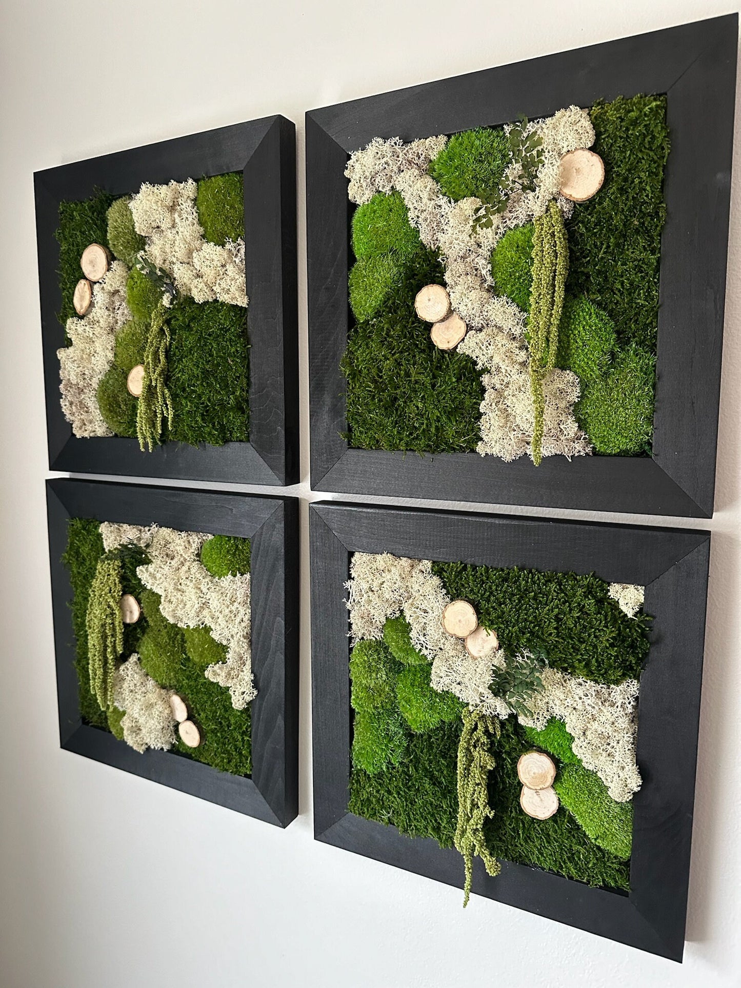 Moss Wall Art | Preserved Moss Art Framed | Square Frame | Green Moss Pole Moss Sheet Moss with Preserved Fern and Wood