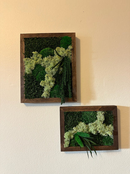 Preserved Moss Wall Art: Reindeer, Pole & Sheet Moss Framed | USA - TARIFF FREE