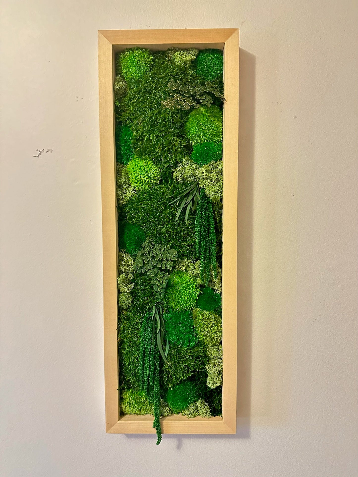 Preserved Reindeer Moss Wall Art: Framed Moss Decor Set | USA - TARIFF FREE
