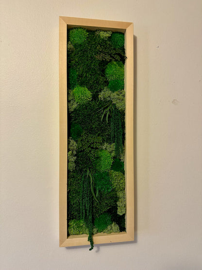 Preserved Reindeer Moss Wall Art: Framed Moss Decor Set | USA - TARIFF FREE