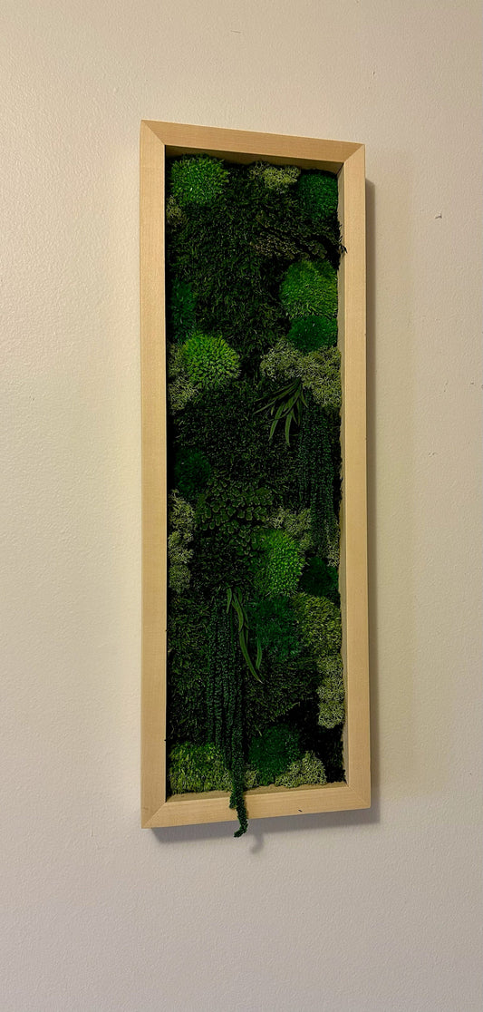 Preserved Reindeer Moss Wall Art: Framed Moss Decor Set | USA - TARIFF FREE