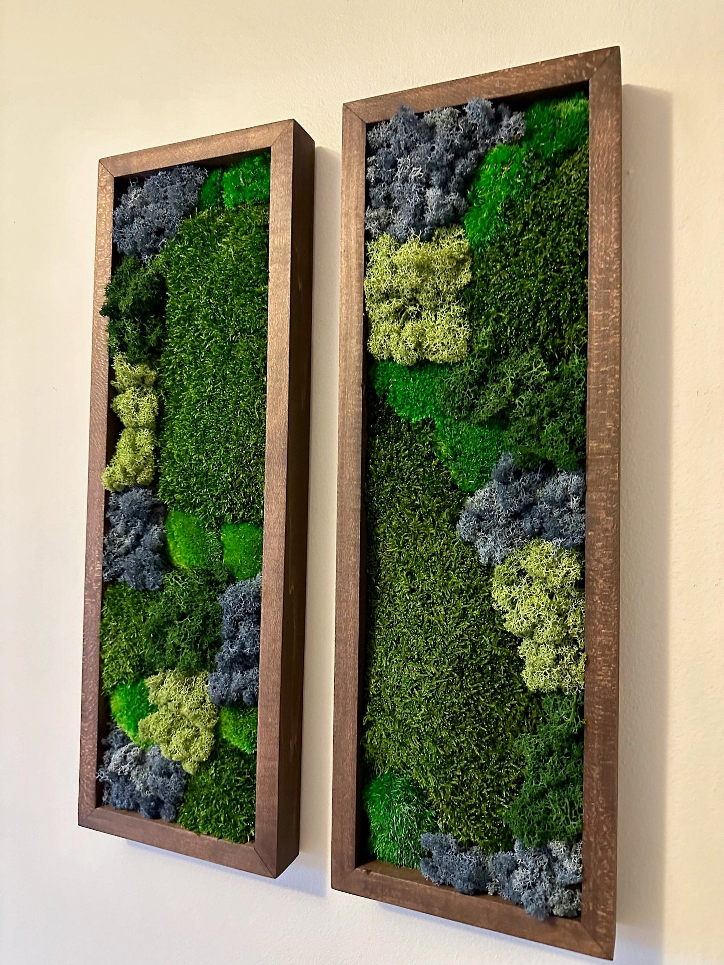 Preserved Reindeer Moss Wall Art: Framed Rectangles, Single to Six Set | USA - TARIFF FREE