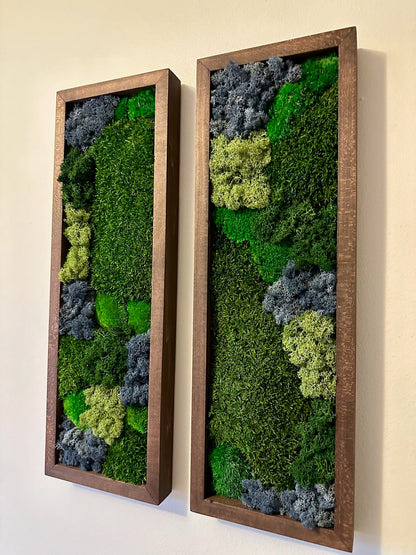Preserved Reindeer Moss Wall Art: Framed Rectangles, Single to Six Set | USA - TARIFF FREE