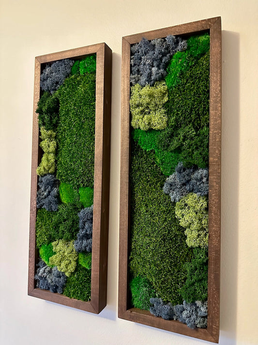 Preserved Reindeer Moss Wall Art: Framed Rectangles, Single to Six Set | USA - TARIFF FREE