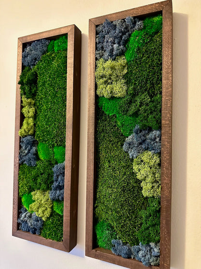 Preserved Reindeer Moss Wall Art: Framed Rectangles, Single to Six Set | USA - TARIFF FREE