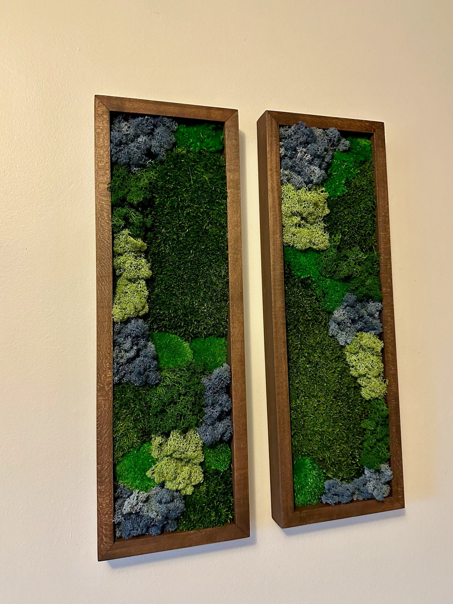 Preserved Reindeer Moss Wall Art: Framed Rectangles, Single to Six Set | USA - TARIFF FREE