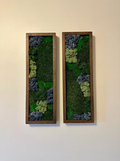 Preserved Reindeer Moss Wall Art: Framed Rectangles, Single to Six Set | USA - TARIFF FREE
