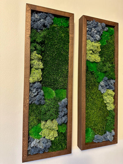 Preserved Reindeer Moss Wall Art: Framed Rectangles, Single to Six Set | USA - TARIFF FREE