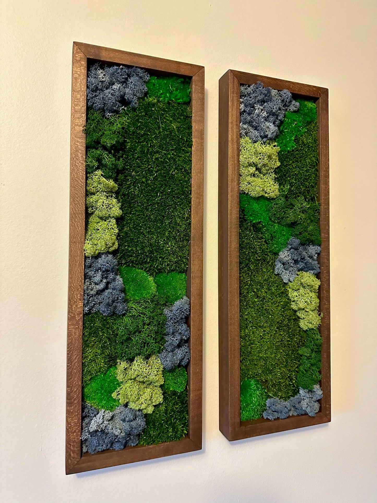Preserved Reindeer Moss Wall Art: Framed Rectangles, Single to Six Set | USA - TARIFF FREE