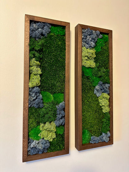 Preserved Reindeer Moss Wall Art: Framed Rectangles, Single to Six Set | USA - TARIFF FREE