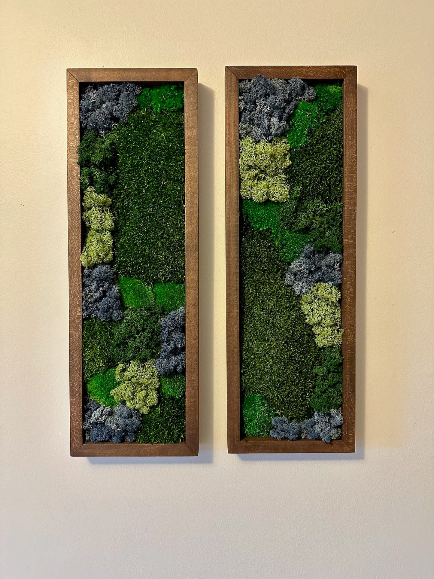 Preserved Reindeer Moss Wall Art: Framed Rectangles, Single to Six Set | USA - TARIFF FREE