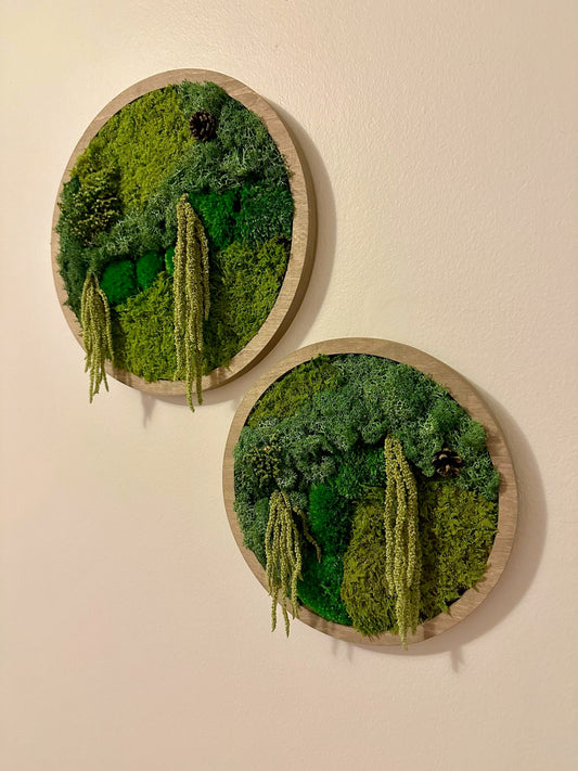 Moss Wall Art Circle Frame | Preserved Moss Art Framed | Moss Wall Decor | Single or Set of 2 | Reindeer, Pole & Sheet Moss | Christmas Gift