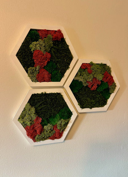 Moss Wall Art Decor | Handmade Wood Hexagon | Single Set to Six (8”x 9" each) | Preserved Lichen Moss, Pole Moss, Sheet Moss & Fern