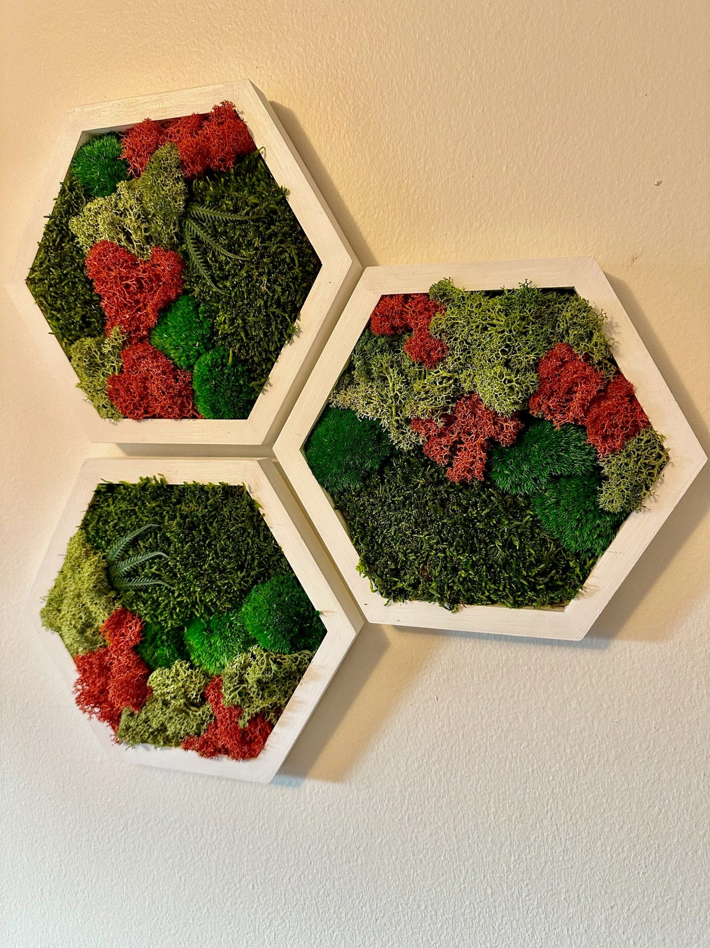 Moss Wall Art Decor | Handmade Wood Hexagon | Single Set to Six (8”x 9" each) | Preserved Lichen Moss, Pole Moss, Sheet Moss & Fern