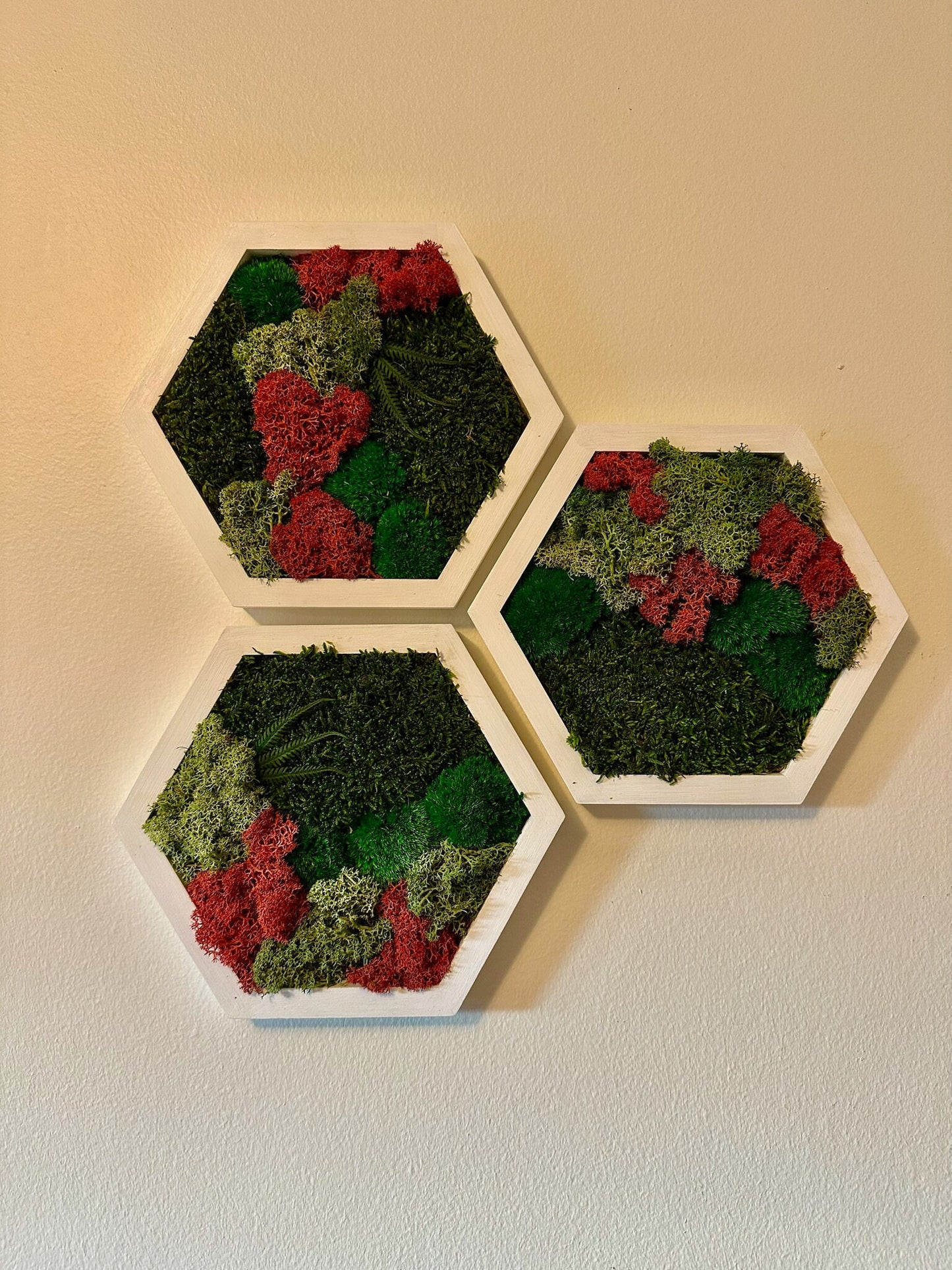 Handmade Preserved Moss Wall Art: Wood Hexagon Set | USA - TARIFF FREE