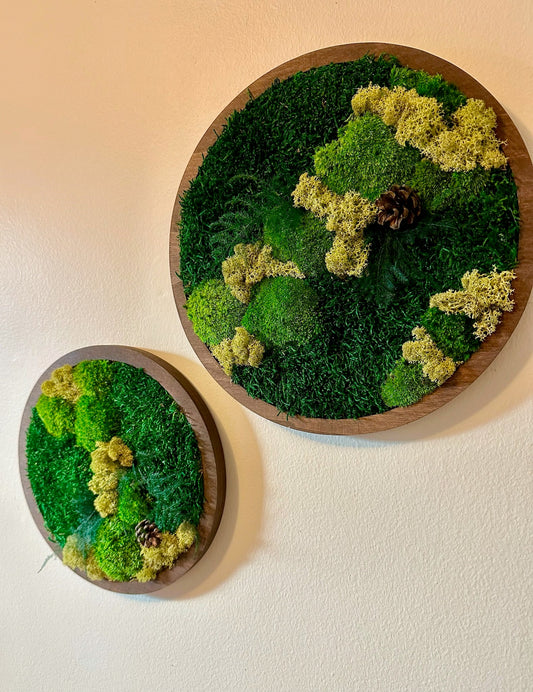 Moss Wall Art Circle Frame | Preserved Moss Art Framed | Moss Wall Decor | Single or Set of 2 | Reindeer & Sheet Moss | Christmas Gift