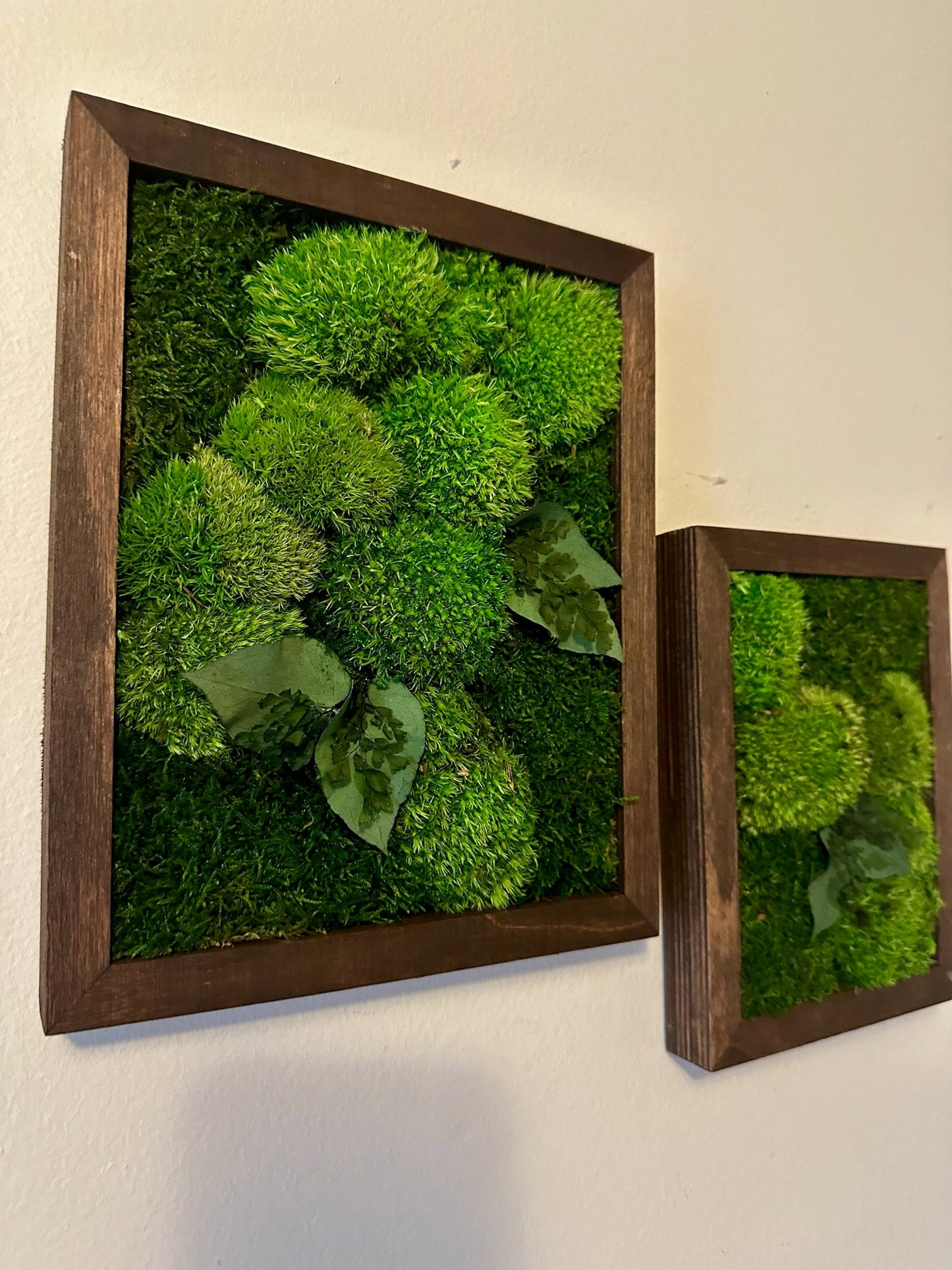Moss Wall Art Rectangle Frame | Preserved Moss Art | Wood Frame | Moss Wall Decor | Single or Set of 2 | Pole & Sheet Moss | Christmas Gift
