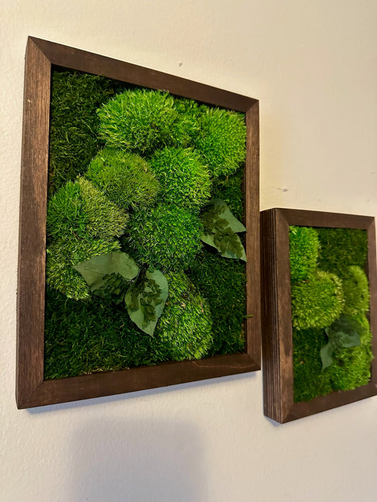 Moss Wall Art Rectangle Frame | Preserved Moss Art | Wood Frame | Moss Wall Decor | Single or Set of 2 | Pole & Sheet Moss | Christmas Gift