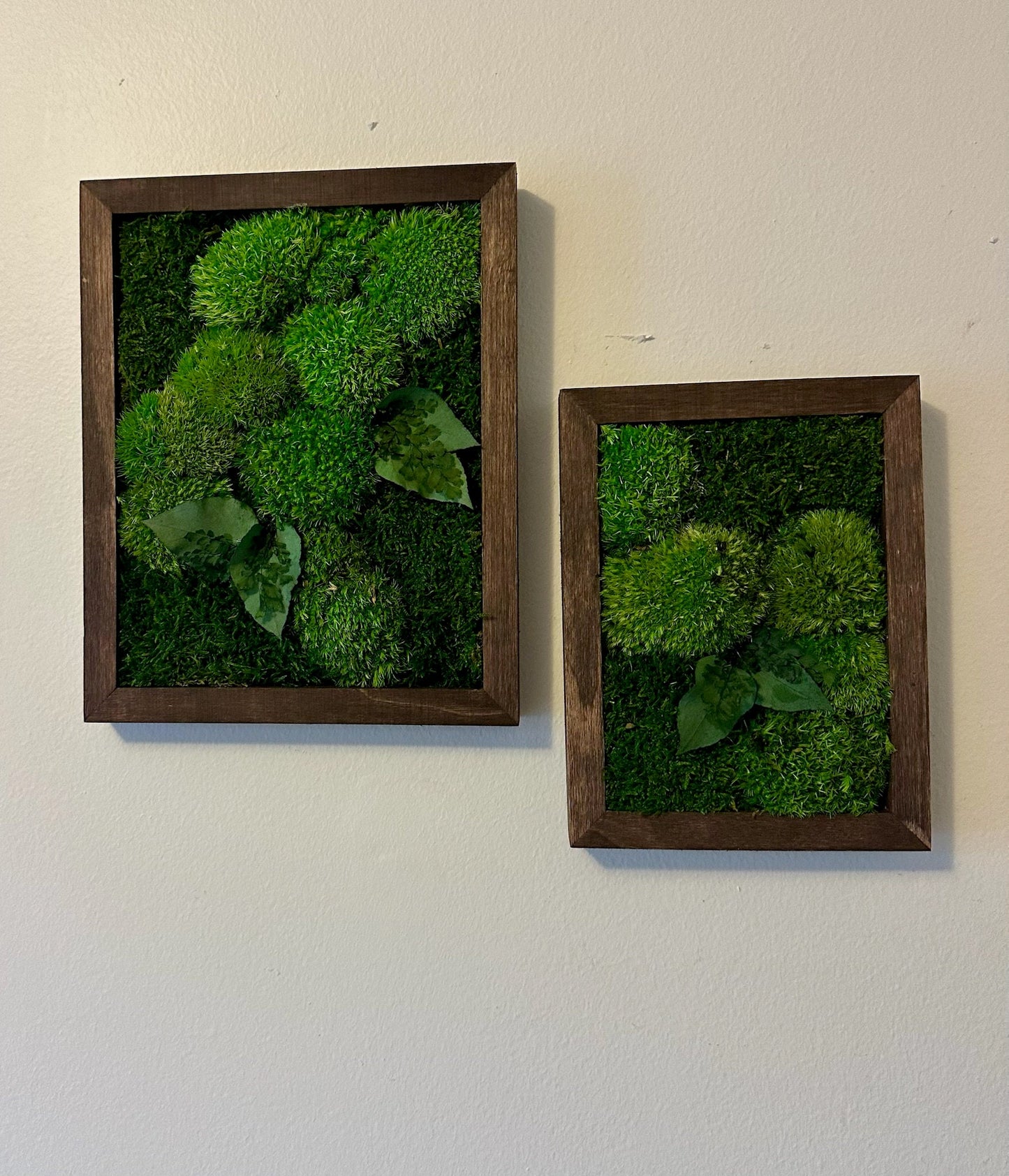 Moss Wall Art Rectangle Frame | Preserved Moss Art | Wood Frame | Moss Wall Decor | Single or Set of 2 | Pole & Sheet Moss | Christmas Gift
