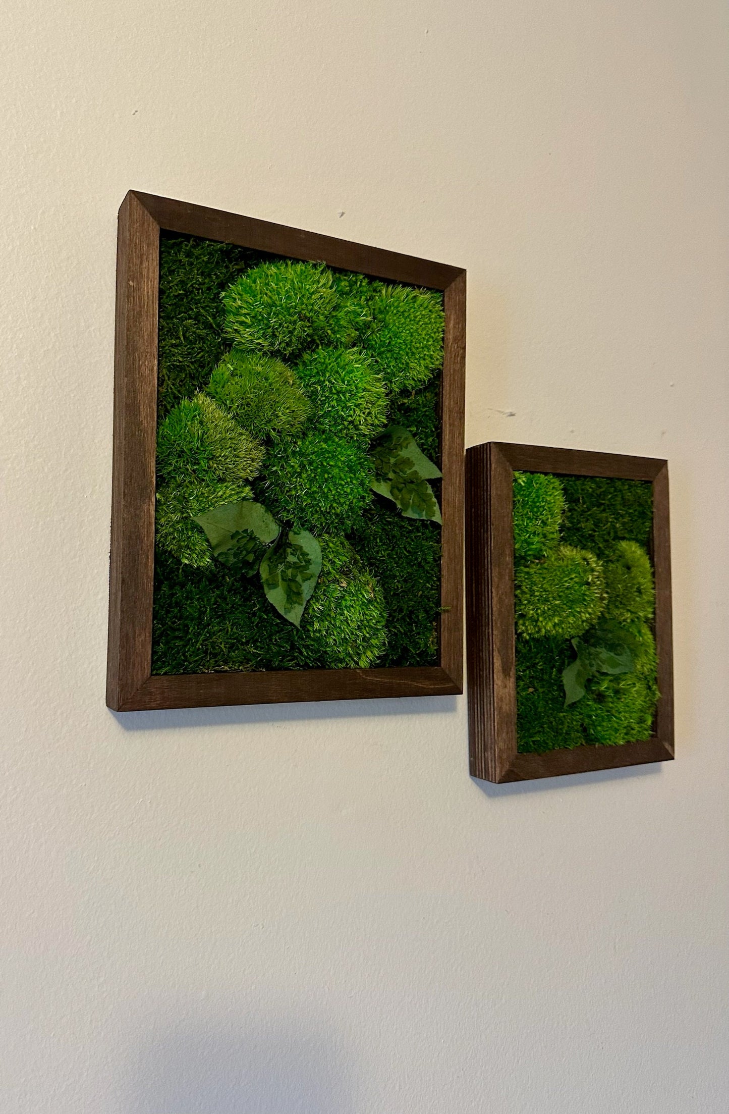Moss Wall Art Rectangle Frame | Preserved Moss Art | Wood Frame | Moss Wall Decor | Single or Set of 2 | Pole & Sheet Moss | Christmas Gift