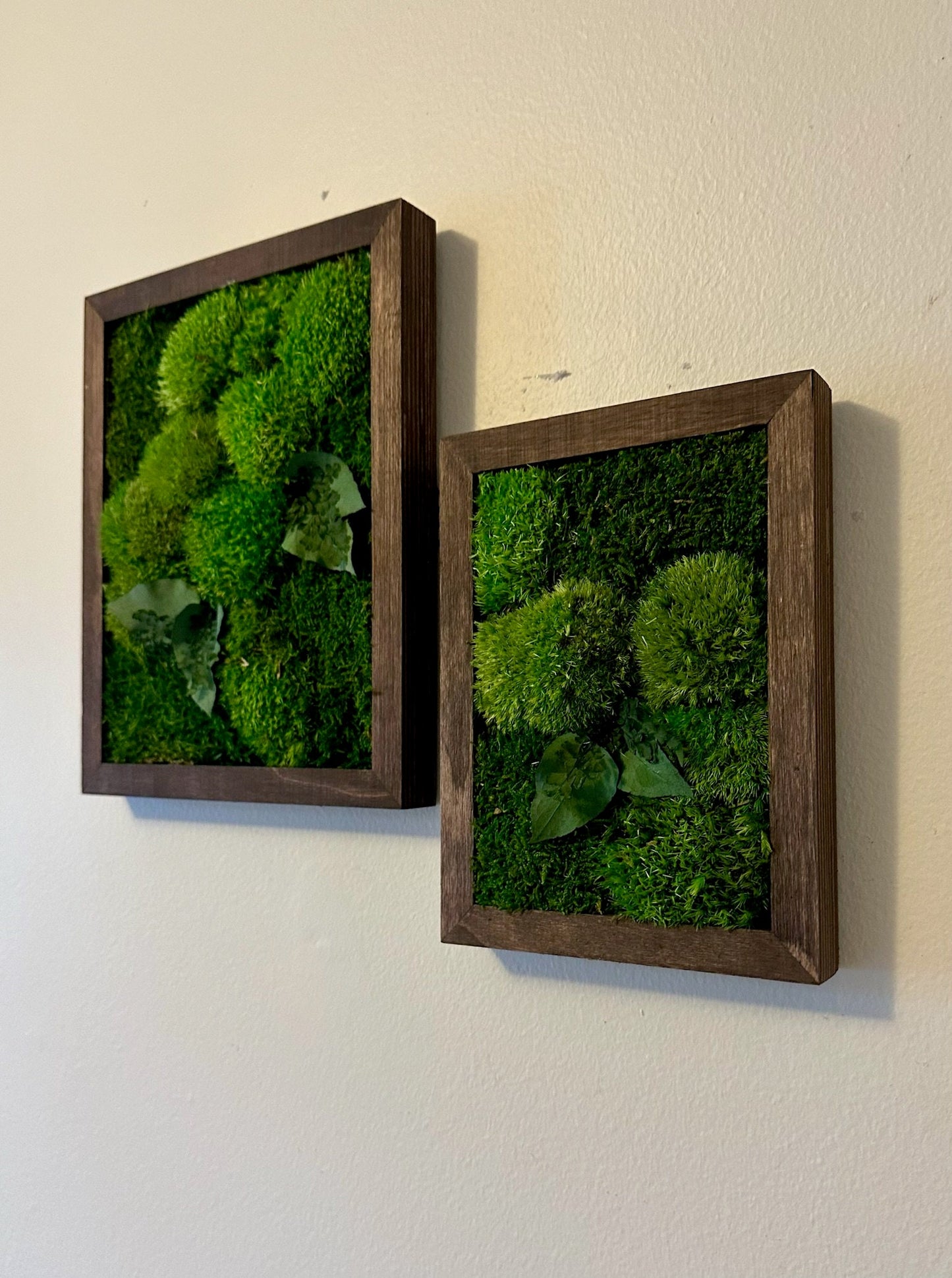 Preserved Reindeer Moss Wall Art: Wood Frame, Rectangle | USA - TARIFF FREE