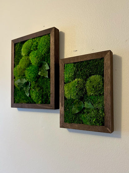 Preserved Reindeer Moss Wall Art: Wood Frame, Rectangle | USA - TARIFF FREE