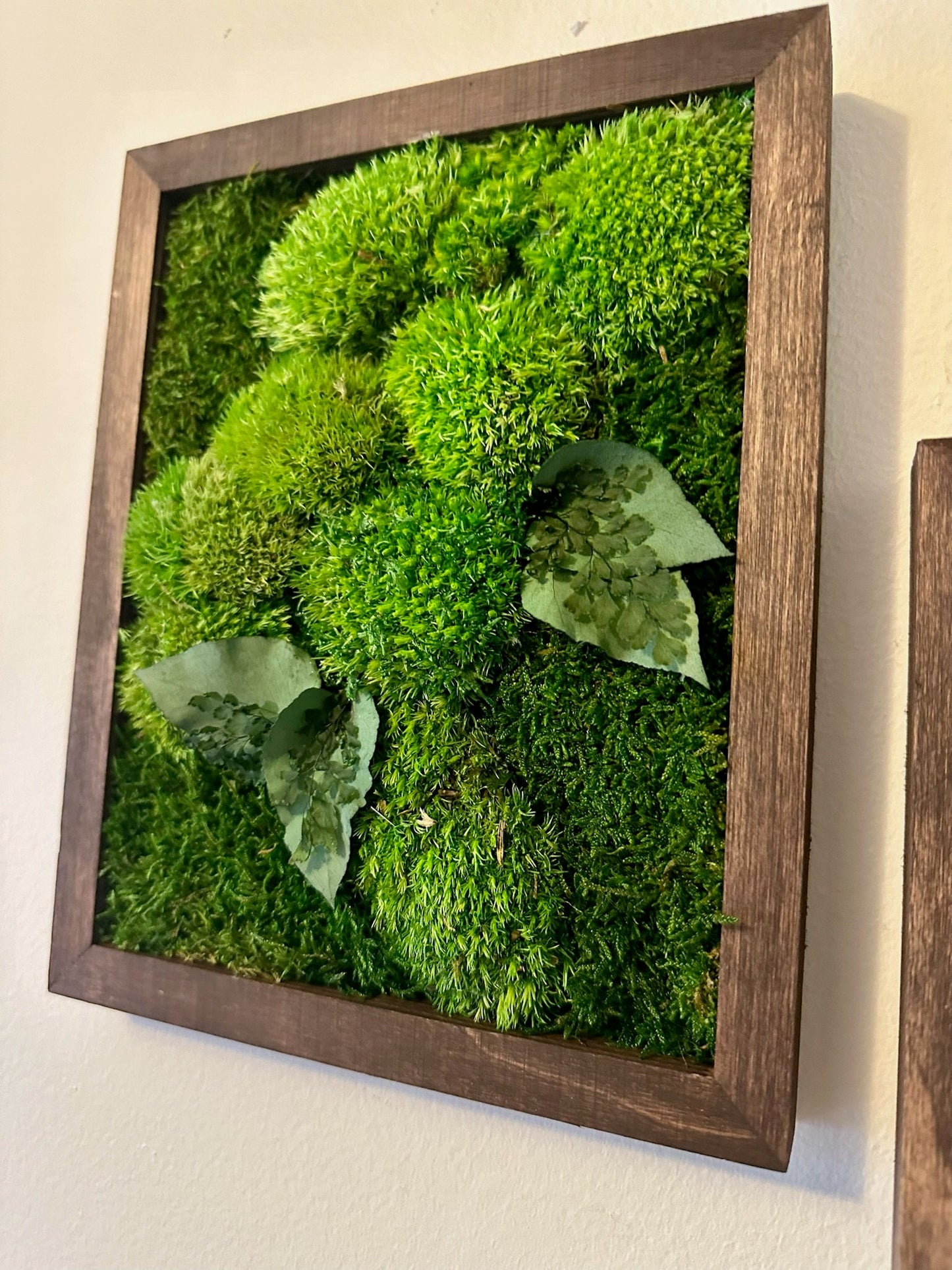 Preserved Reindeer Moss Wall Art: Wood Frame, Rectangle | USA - TARIFF FREE