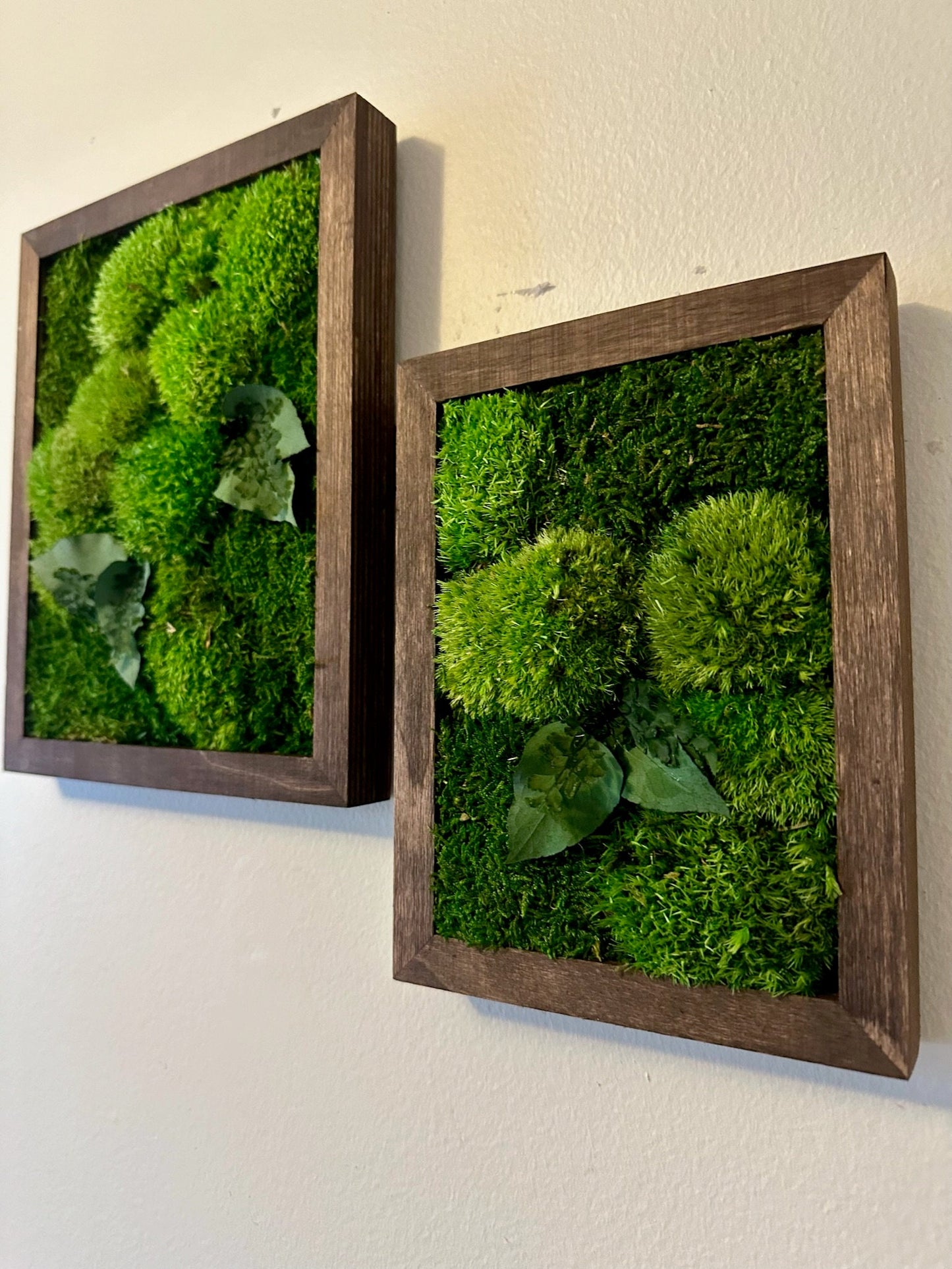 Preserved Reindeer Moss Wall Art: Wood Frame, Rectangle | USA - TARIFF FREE