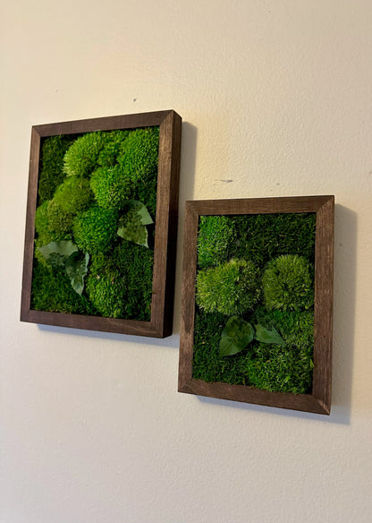 Preserved Reindeer Moss Wall Art: Wood Frame, Rectangle | USA - TARIFF FREE