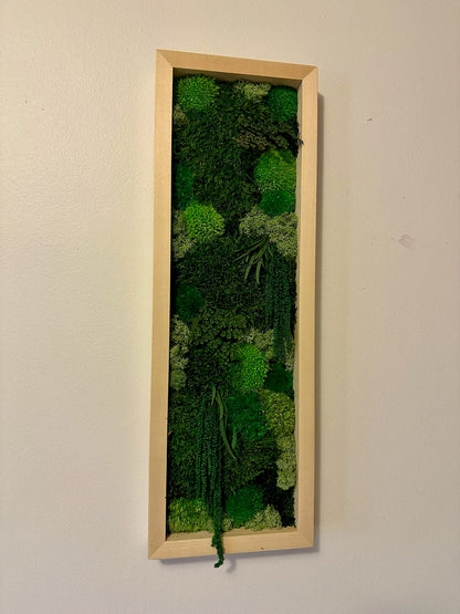 Preserved Reindeer Moss Wall Art: Framed Moss Decor Set | USA - TARIFF FREE
