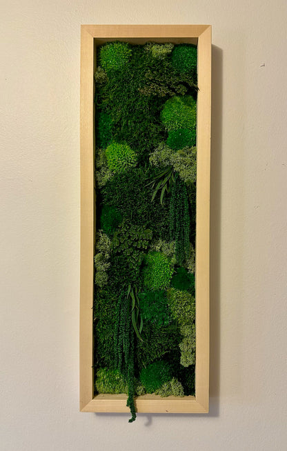 Preserved Reindeer Moss Wall Art: Framed Moss Decor Set | USA - TARIFF FREE