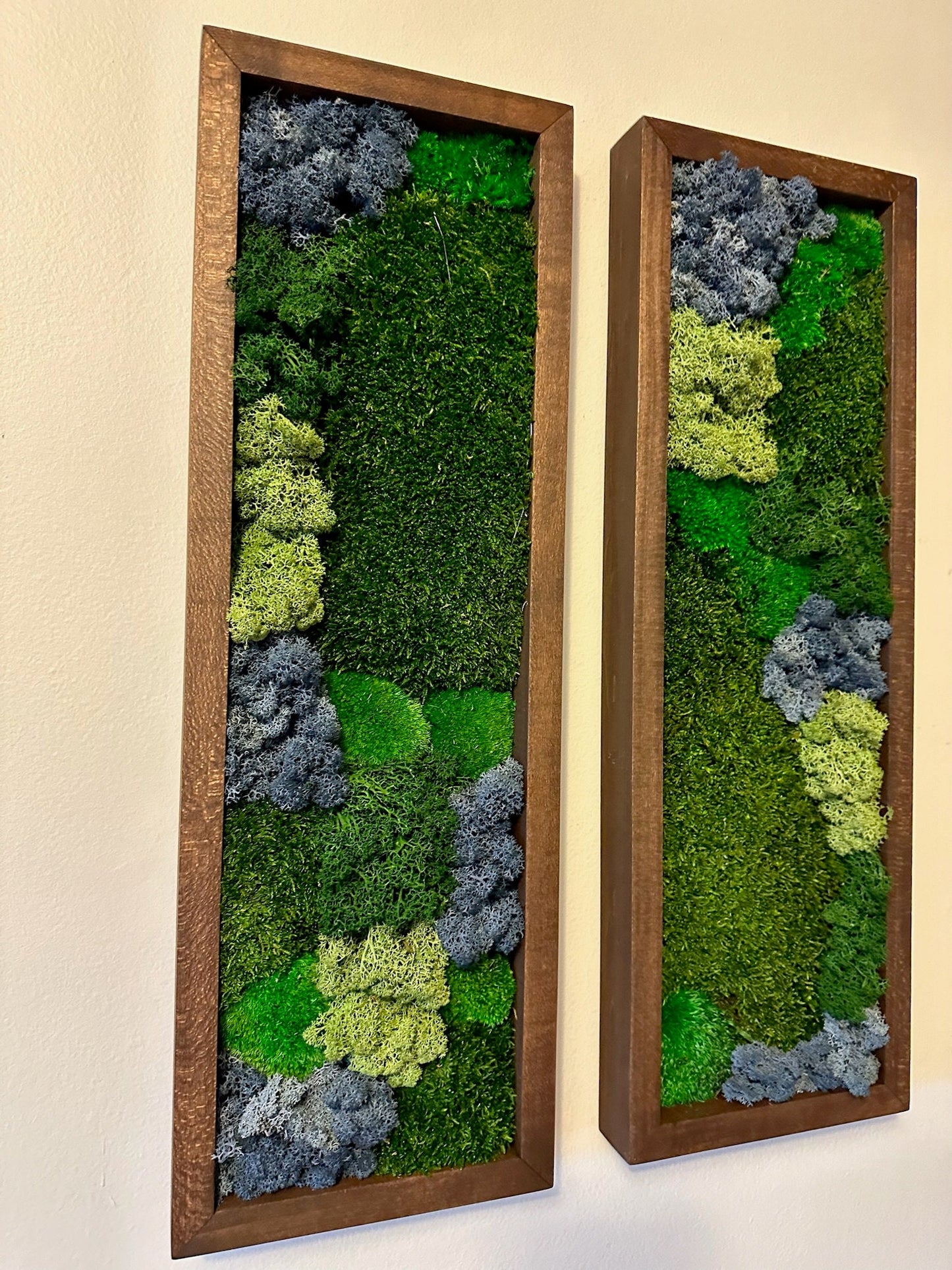 Framed Preserved Moss Wall Art: Reindeer & Pole Moss Set | USA - TARIFF FREE