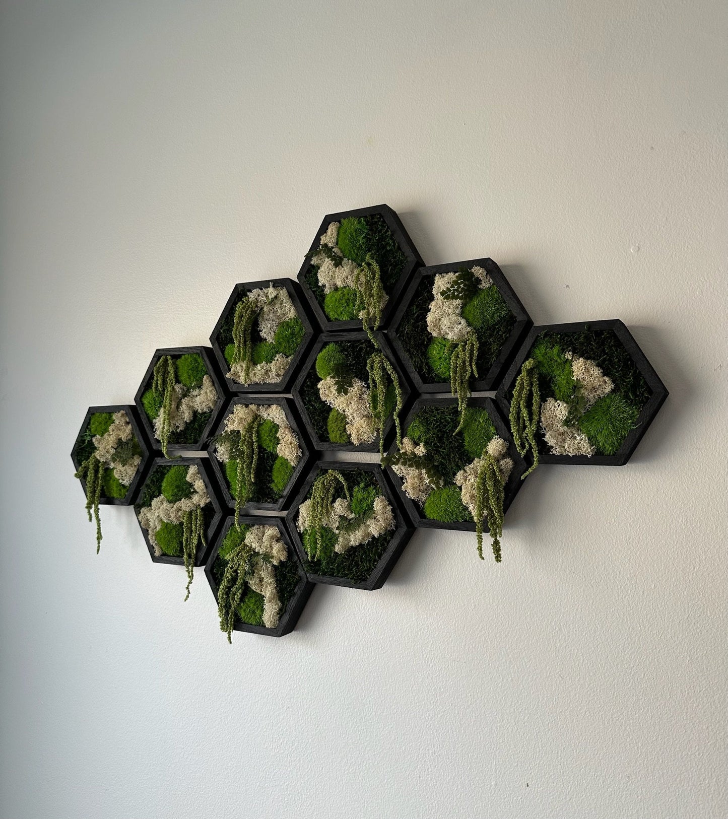 Moss Wall Art Decor | Handmade Wood Hexagon | Single Set to Six (8" x 9") or (10" x 11.6") | Preserved Lichen, Pole, Sheet Moss & Fern
