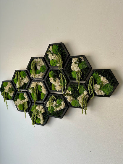 Moss Wall Art Decor | Handmade Wood Hexagon | Single Set to Six (8" x 9") or (10" x 11.6") | Preserved Lichen, Pole, Sheet Moss & Fern