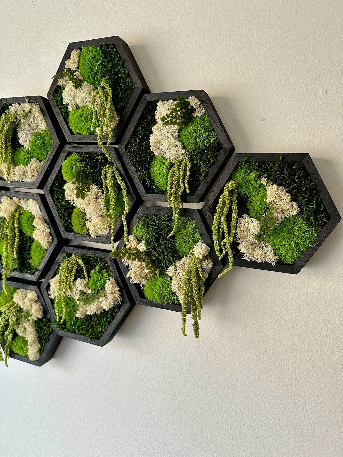 Moss Wall Art Decor | Handmade Wood Hexagon | Single Set to Six (8" x 9") or (10" x 11.6") | Preserved Lichen, Pole, Sheet Moss & Fern