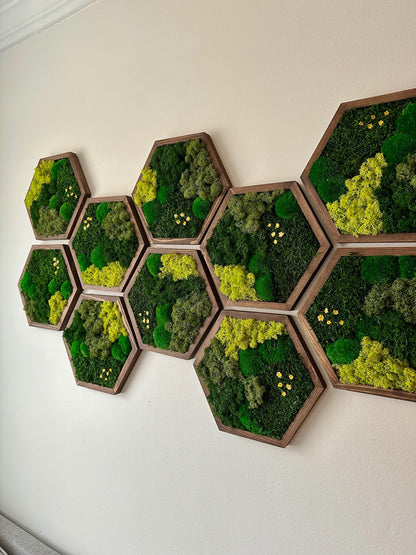 Handmade Preserved Moss Wall Art: Wood Hexagon Decor | USA - TARIFF FREE
