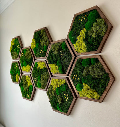 Handmade Preserved Moss Wall Art: Wood Hexagon Decor | USA - TARIFF FREE