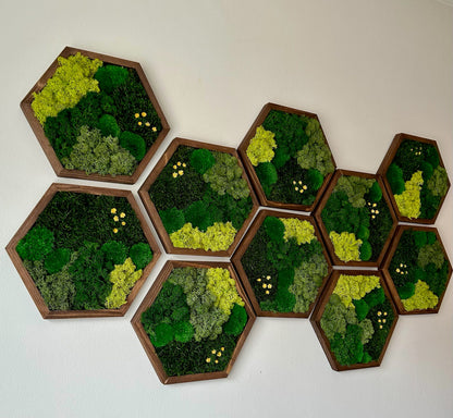Handmade Preserved Moss Wall Art: Wood Hexagon Decor | USA - TARIFF FREE
